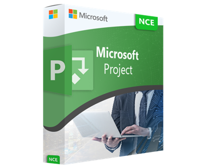 Microsoft Project Plan 3